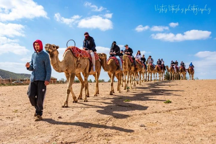 Camel ride in the desert
